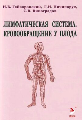Лимфатическая система. Кровообращение у плода: Учебное пособие. 2-е изд