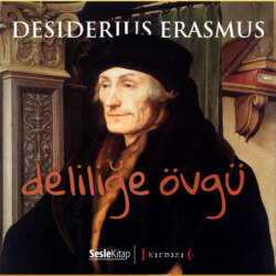 Deliliğe Övgü