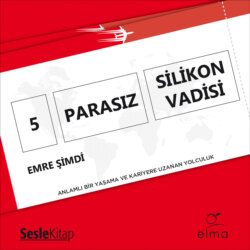 5 Parasız Silikon Vadisi