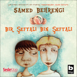 Bir Ölünün Anıları