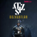 Bozkurtlar