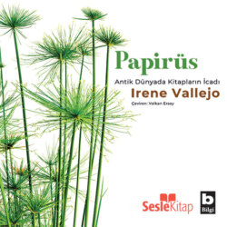 Papirüs - Antik Dünyada Kitapların İcadı