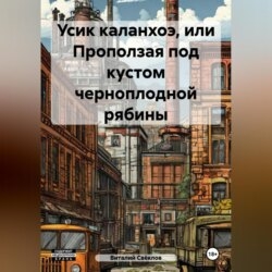 Усик каланхоэ или проползая под кустом черноплодной рябины