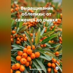 Промышленное выращивание облепихи: от саженца до рынка