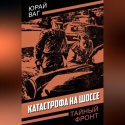 Катастрофа на шоссе