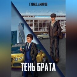Тень брата