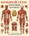 Большой атлас анатомии человека