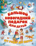 Большой новогодний подарок для детей
