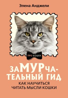 ЗаМУРчательный гид. Как научиться читать мысли кошки