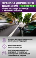 Правила дорожного движения. Новая таблица штрафов с комментариями на 2025 год