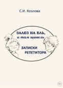Залез на ель, а там щавель. Записки репетитора