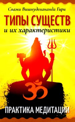 Типы существ и их характеристики. Практика медитации