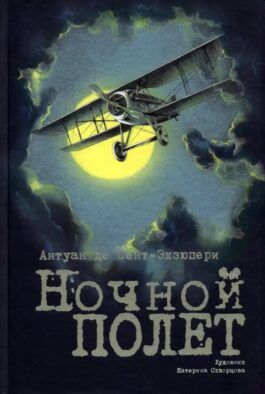 Ночной полет