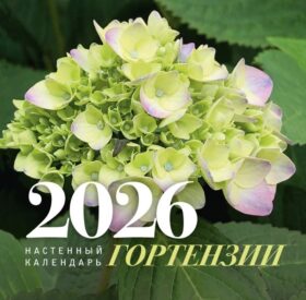 Гортензии. Настенный календарь на 2026 год