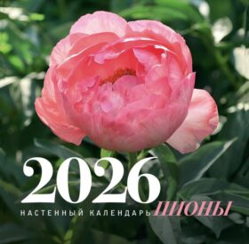 Пионы. Настенный календарь на 2026 год