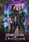 Космо-котики, или Два босса для землянки. Ч. 2