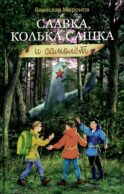 Славка, Колька, Сашка и самолет: повесть