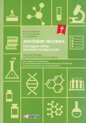 Анатомия человека. Сосуды и нервы органов головы и шеи. Рабочая тетрадь для самостоятельной работы