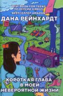 Короткая глава в моей невероятной жизни