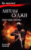 Ангелы Суджи. Операция 