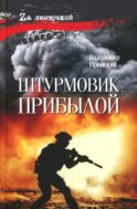 Штурмовик Прибылой: роман
