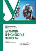 Анатомия и физиология человека : Учебник. 4-е изд., перераб. и доп