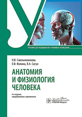 Анатомия и физиология человека : Учебник. 4-е изд., перераб. и доп