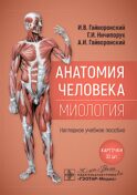 Анатомия человека. Миология. Карточки : наглядное учебное пособие