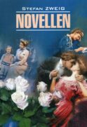 Novellen = Новеллы: книга для чтения на немецком языке