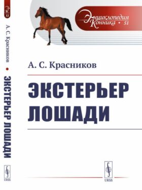 Экстерьер лошади