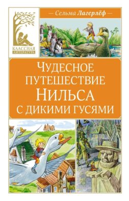 Чудесное путешествие Нильса с дикими гусями: повесть-сказка