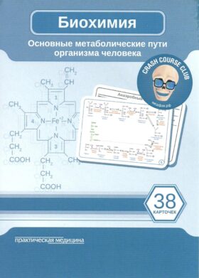 Биохимия. Основные метаболические пути организма человека (38 карточек)