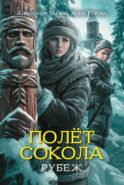 Полет сокола: рубеж
