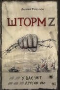 Шторм Z. У вас нет других нас