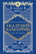 Академия вампиров. Книга 5. Оковы для призрака