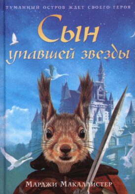 Сын упавшей звезды: роман