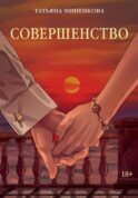 Совершенство: роман