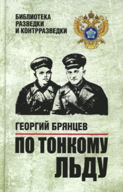 По тонкому льду: роман