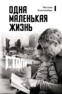 Одна маленькая жизнь. В поисках следов