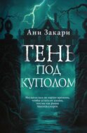 Тень под куполом