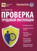 Проверка трудовой инспекции: практические рекомендации для работодателя