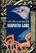Камчатка-блюз: очерки