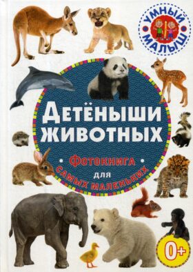 Детеныши животных. Фотокнига для самых маленьки