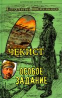 Чекист. Особое задание