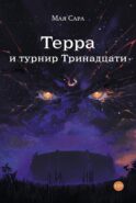 Терра и турнир Тринадцати. Кн. 2