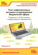 Учет нефинансовых активов в учреждениях бюджетной сферы. Практикум в 