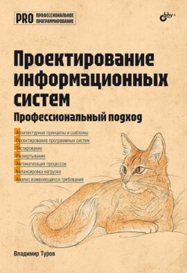 Проектирование информационных систем. Профессиональный подход