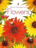 Seeds and Flowers