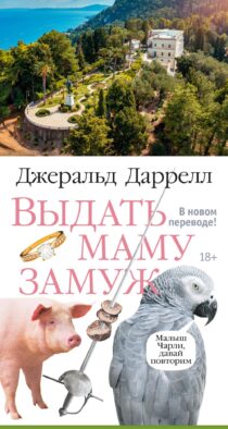 Выдать маму замуж: рассказы