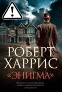 Энигма: роман